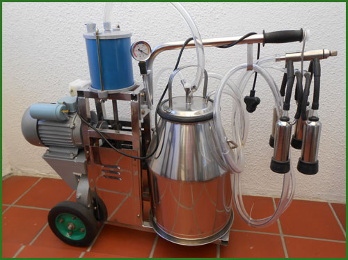 Dairy Dynamics -