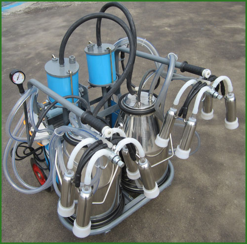 Dairy Dynamics -